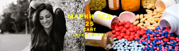 крисы Богданович