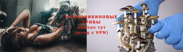 меф Богородск