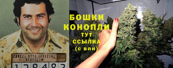 дмт Богородицк