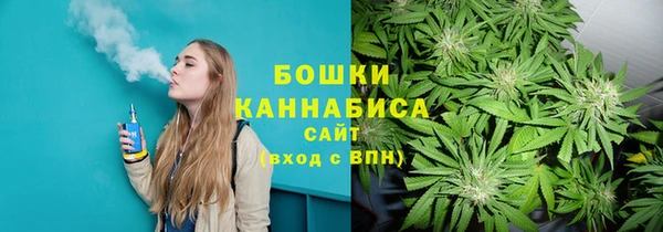 крисы Богданович