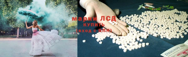 дмт Богородицк