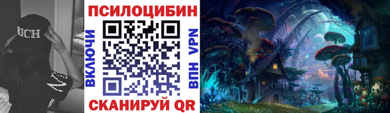 Псилоцибиновые грибы мицелий  продажа наркотиков  Томари 
